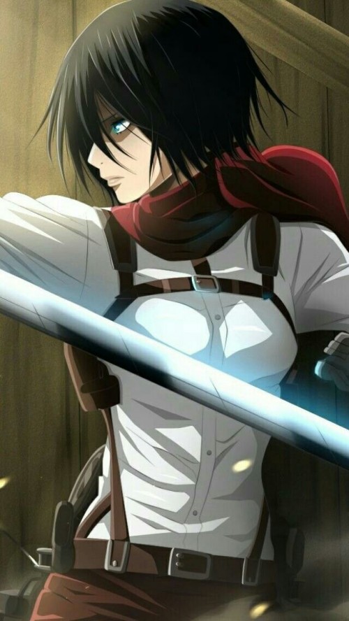 Uploaded by user yamato2008 Mikasa Ackerman Shingeki no Kyojin SnK MUITO3ff84fc9e8dc596403058cf7b490