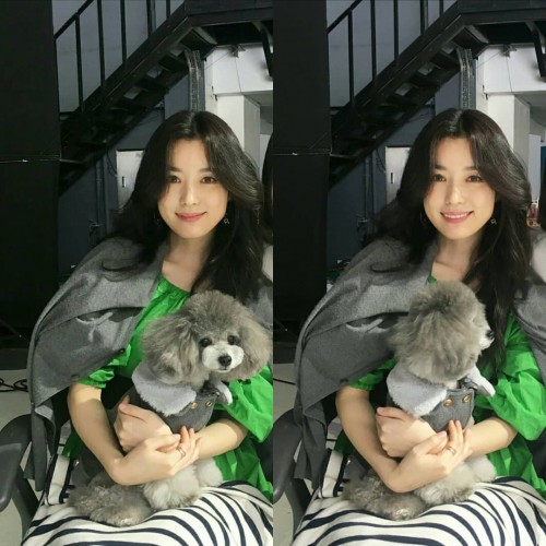 instagram.com--IG-Han-HyoJoo-with-a-cute-silver-poddle-a-p26873064_141077403252217_9049601877716500480_n.jpg