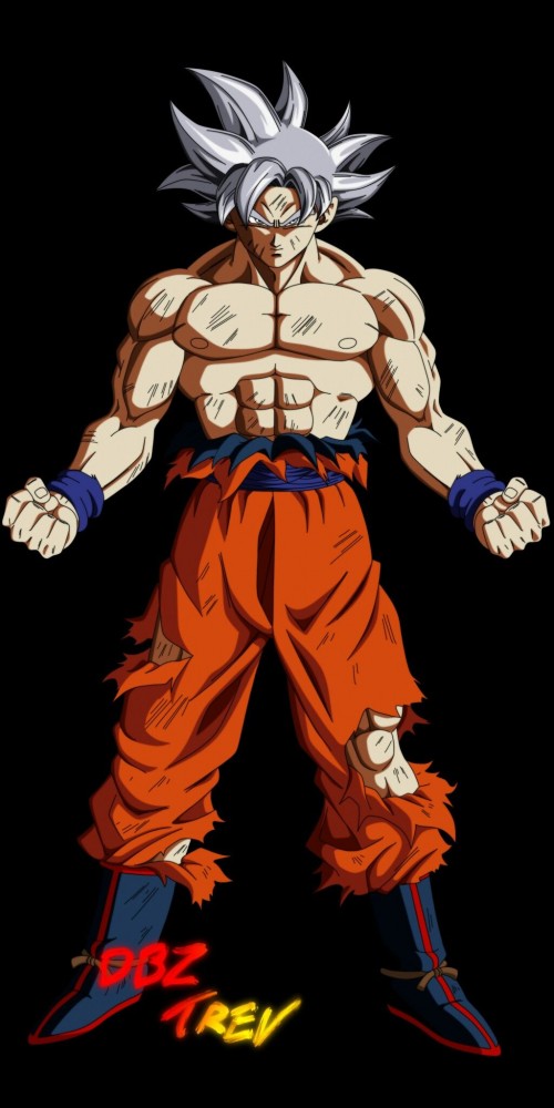 orig00.deviantart.net-Goku-mastered-ultra-instinctd5470a372af3538e14d57dd69878f781.jpg