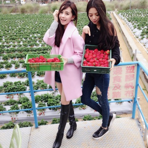 instagram.com--11005189_642212772550878_430579720_n.jpg