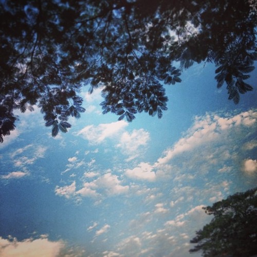 instagram.com--1208394_724147870946230_1978736819_n.jpg