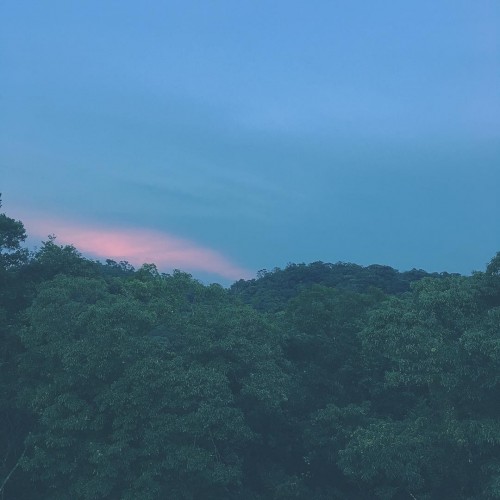 instagram.com--20839079_494770234217284_578713930801610752_n.jpg