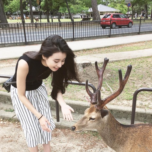instagram.com-13277643_375400865917131_645991804_n.jpg