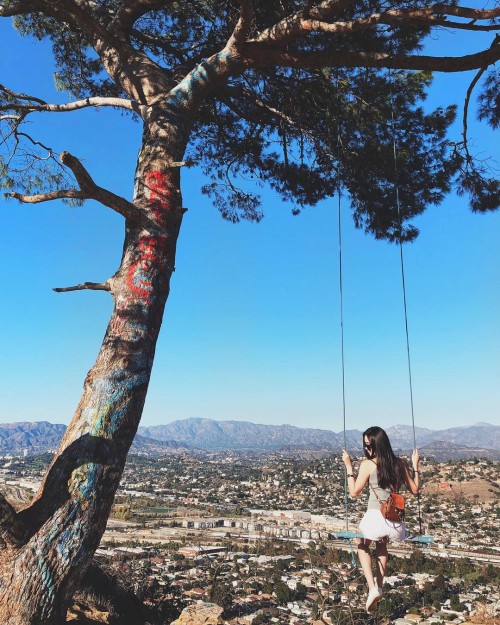 instagram.com Fly awayangelspoint secretswing california45807495 2169899399893424 349316895208844885