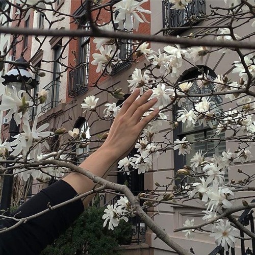 instagram.com-Whose-hand-is-this-please-tell-me12965028_1782063682025630_1819130642_n.jpg