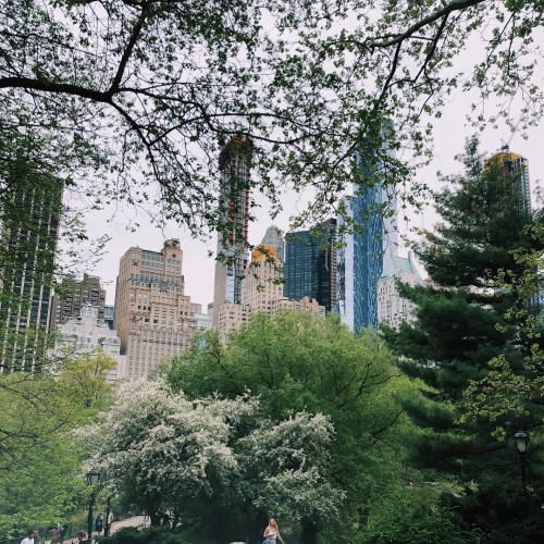 instagram.com-city-of-dreams-dreams-of-the-city31168666_1561456790647291_2548711014526877696_n.jpg
